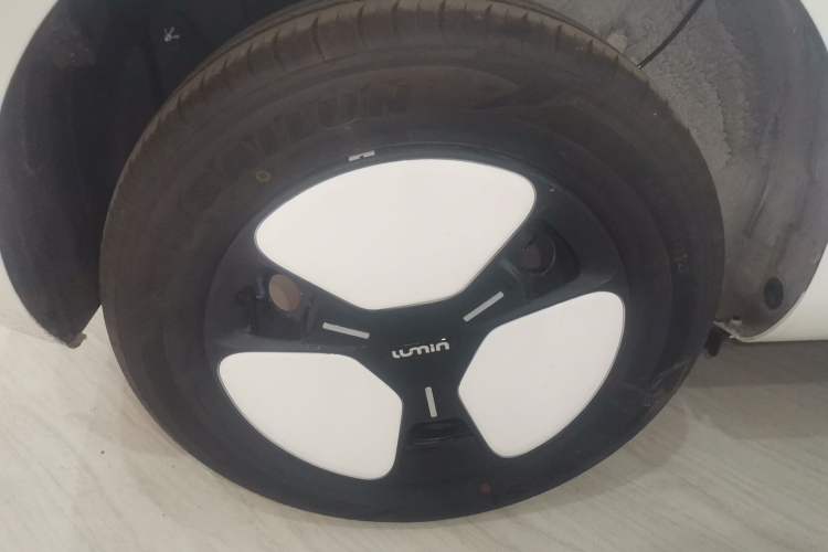 Used  Lumin 2024 130km Qingyue Version