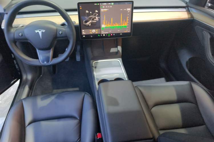 Used Tesla Model Y 2021 Standard Range Rear-Wheel Drive Version
