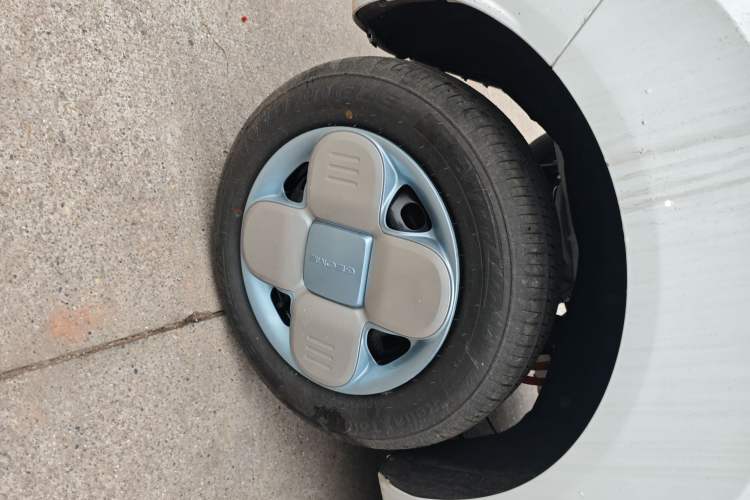 Used  Panda 2024 Panda Mini 200km Endurance Bear