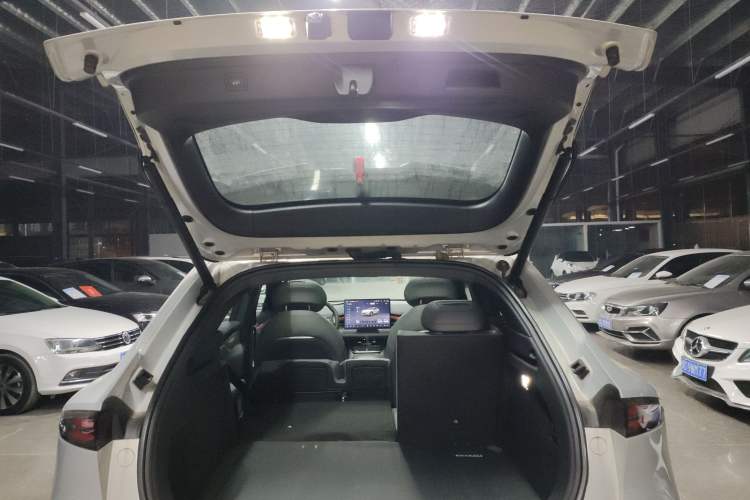 Used  S05 2024 510 Ultra Pure Electric Version
