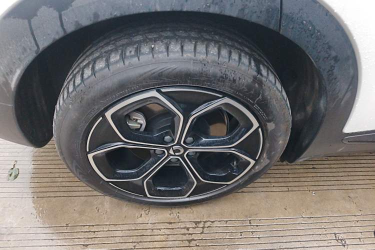 Used  #3 2024 Dynamic Standard Edition