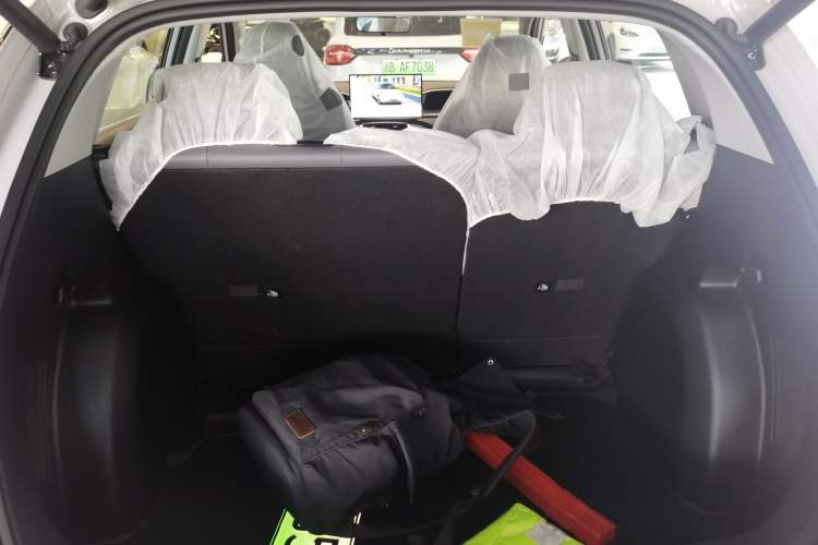 Used  Geome 2025 310km Dream Edition