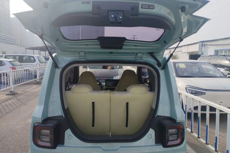 Used  Panda 2024 Panda Mini 200km Endurance Bear
