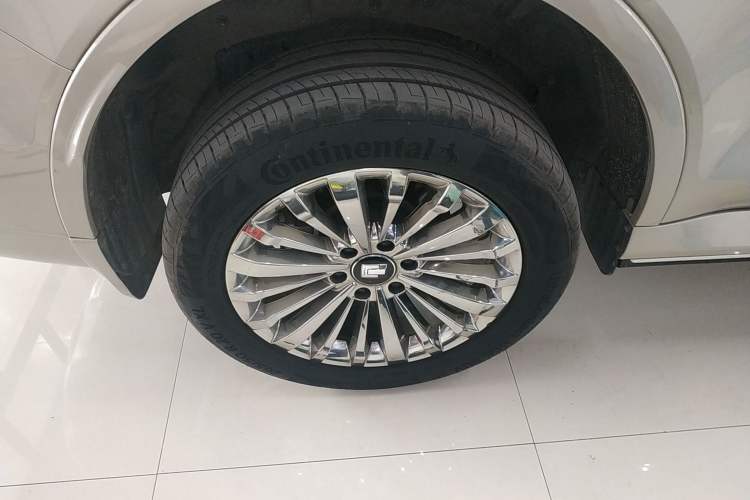 Used Tank 500 2022 3.0T Business Edition "Creation Realm" Design 5-Seater
