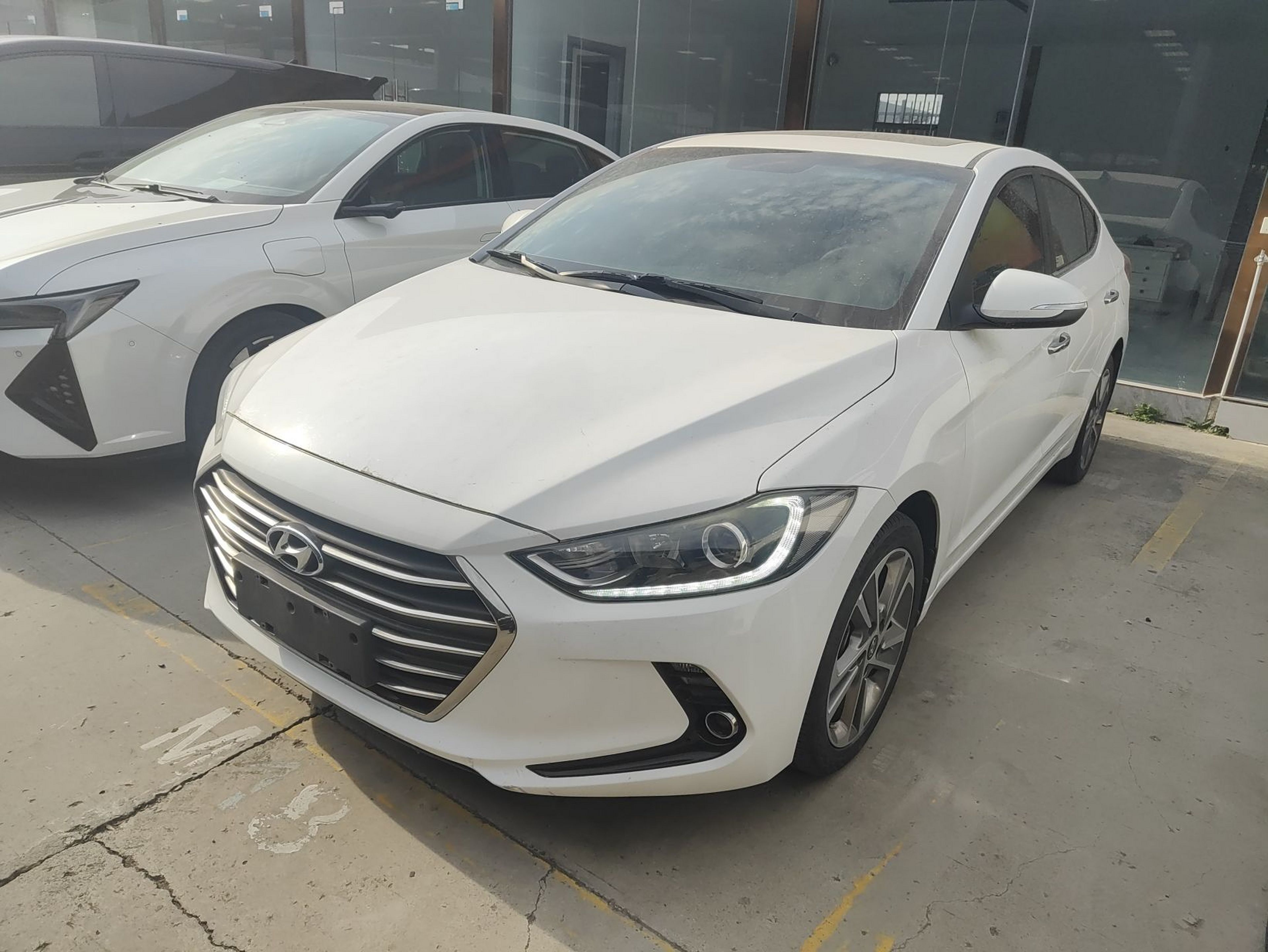 تحت مقدمة السيارة