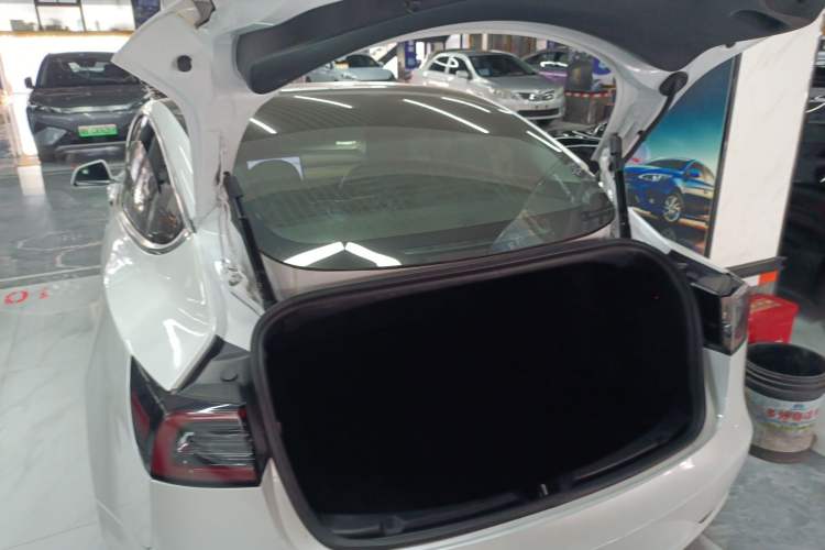 Used Tesla Model 3 2019 Long-Range All-Wheel-Drive Version
