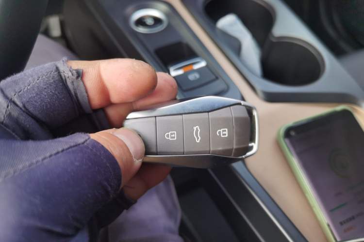 Used SOL E10X 2022 Flower Fairy Design Four-Leaf Clover
