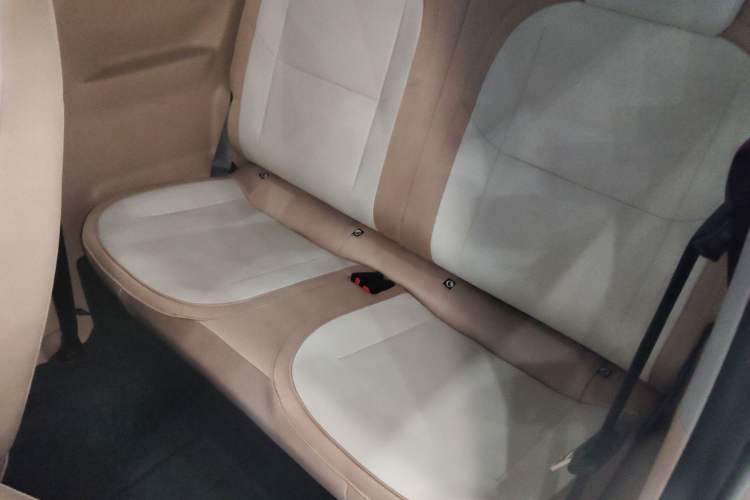 Used  Panda 2023 Panda Mini 200km Endurance Bear
