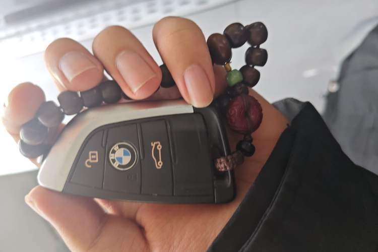 Used BMW X2 2020 sDrive25i Luxury Model with M Sport Package