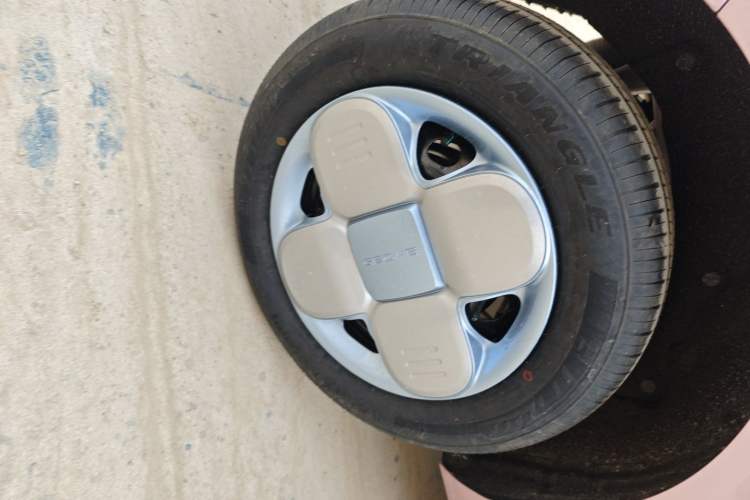 Used  Panda 2024 Panda Mini 200km Endurance Bear