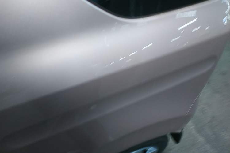 Used  Panda 2023 Panda Mini 200km Endurance Bear
