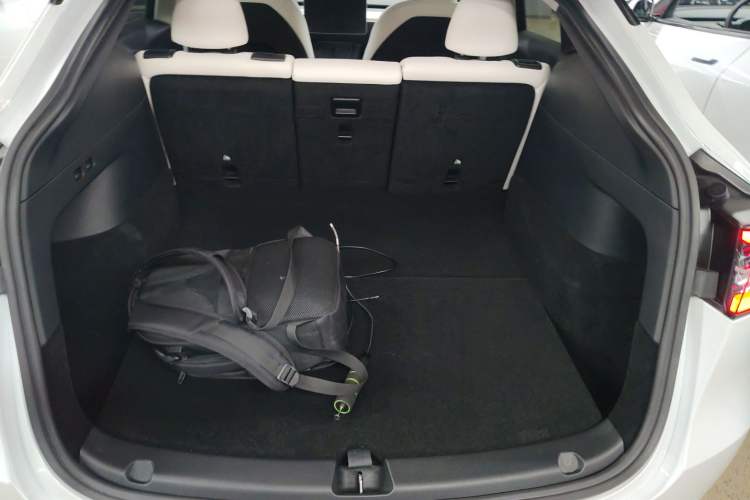 Used Tesla Model Y 2021 Performance High-Performance All-Wheel-Drive Version
