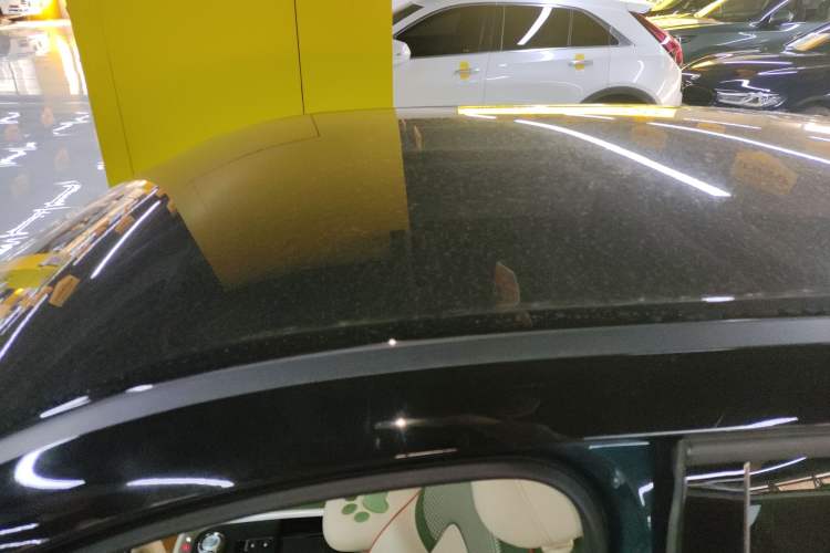 Used ORA Good Cat 2022 Morandi Edition 400km Standard Range Luxury Version Lithium Iron Phosphate