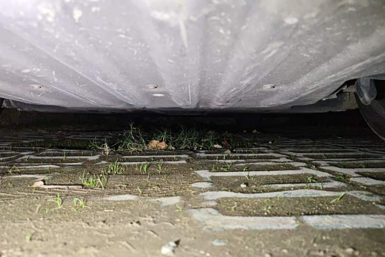 Used BMW 5 Series 2018 525i M Sport Package
