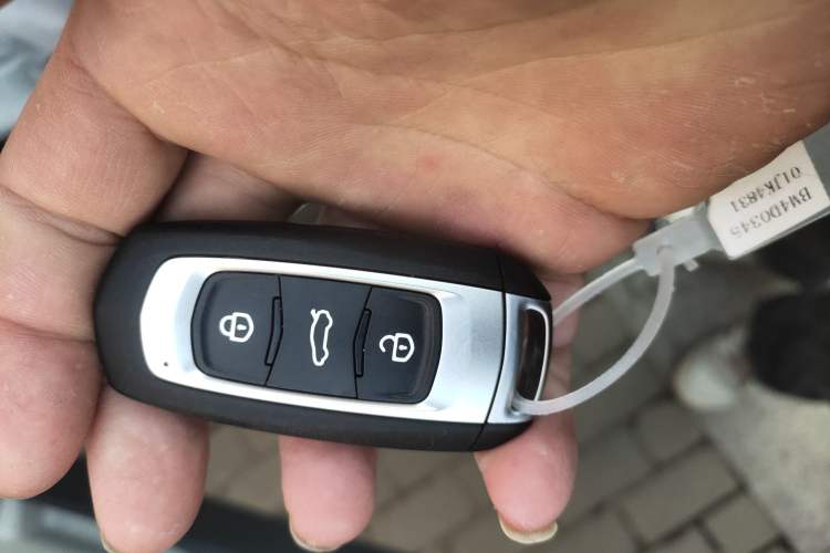 Used  Panda 2025 210 km – Yuanqi Bear