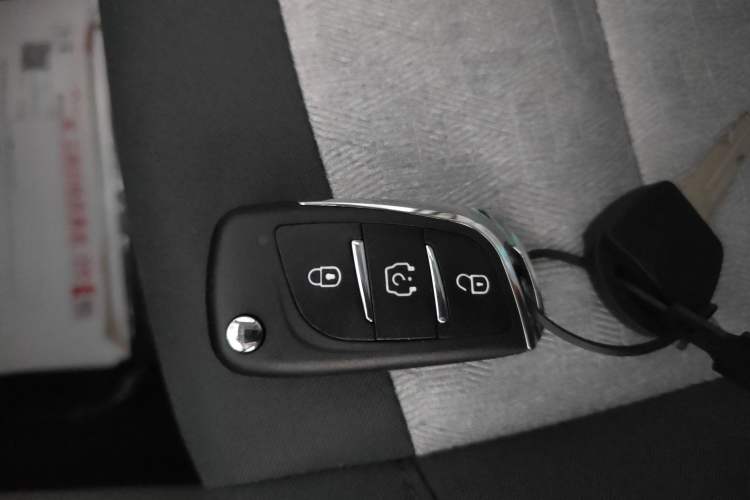 Used JMEV  2024 201km Comfort Version
