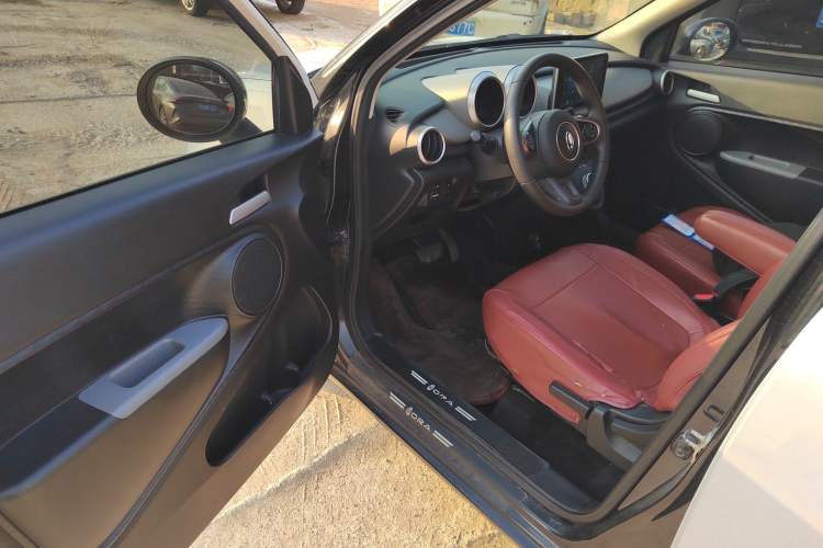 Used ORA Black Cat 2022 301km "Cute & Dynamic" Phosphate Iron Lithium
