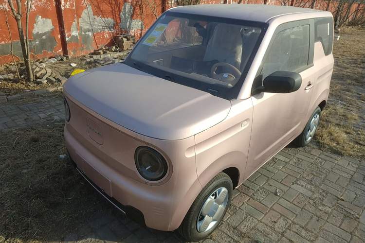 Used Geely Galaxy Panda 2024 Panda Mini 200km Endurance Bear