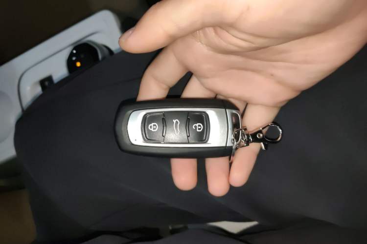 Used  Panda 2025 210km Panda Rider