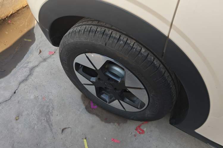 Used  Geome 2025 310km Dream Edition
