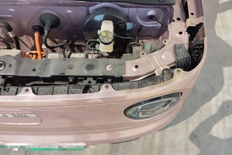 Used  Panda 2024 Panda Mini 200km Endurance Bear
