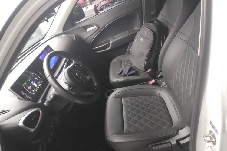 Used ORA White Cat 2020 401 km Long-Range Version