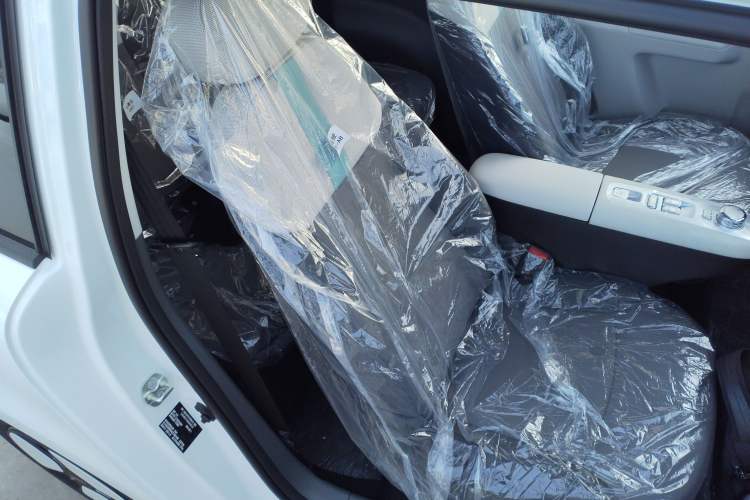 Used  Lumin 2025 205 km Xiangqin Version