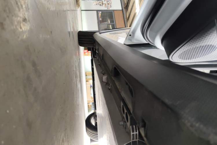 Used Livan Livan 7 2024 450km Executive Version
