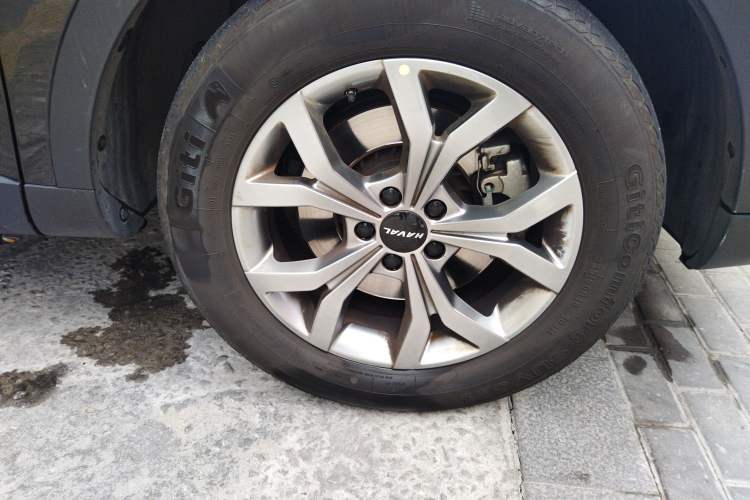 Used Haval H6 2021 National Trend Edition 1.5T Automatic Champion Version
