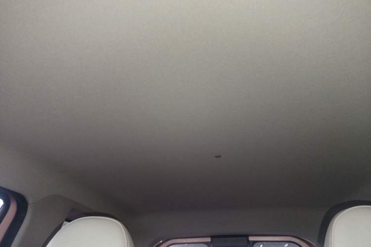 Used  Panda 2023 Panda Mini 200km Endurance Bear
