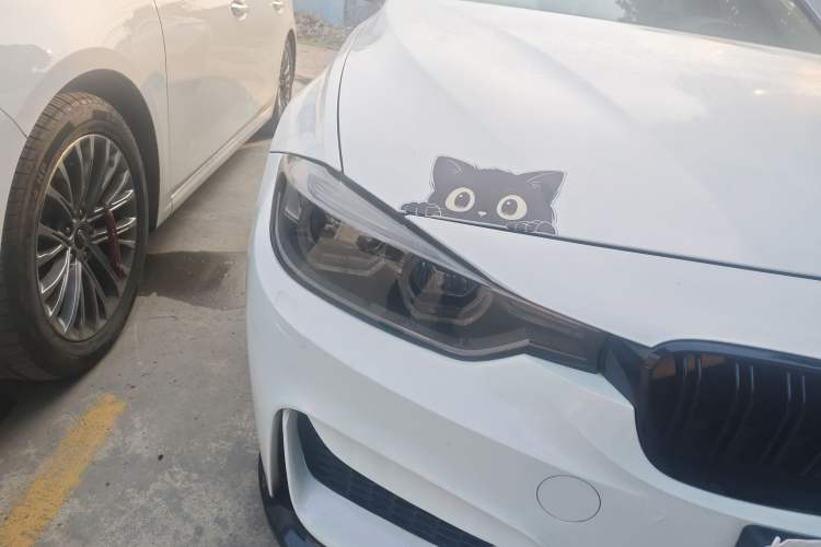 Used BMW 3 Series 2018 320Li Leading Luxury Package
