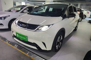 Used BYD Dolphin 2023 420 km Free Version