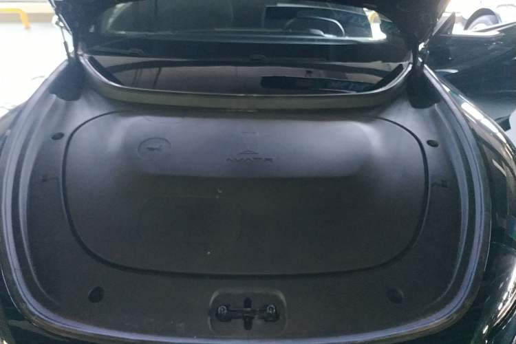 Used  06 2025 Max Extended-Range Edition
