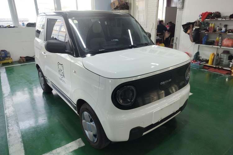 Used  Panda 2024 Panda Mini 200km Endurance Bear
