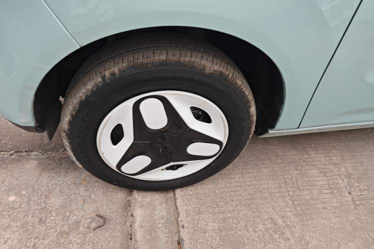 Used  Panda 2025 210 km – Yuanqi Bear
