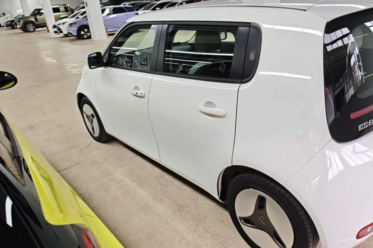 Used ORA White Cat 2020 360 km Luxury Version
