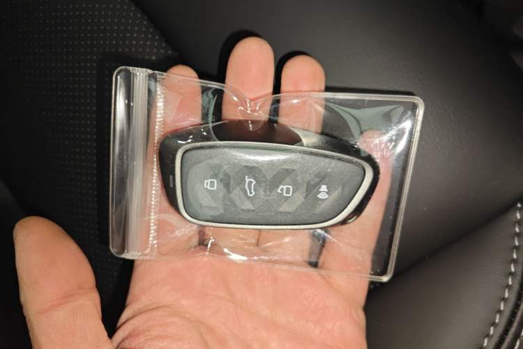 Used Haval H Dog New Energy 
