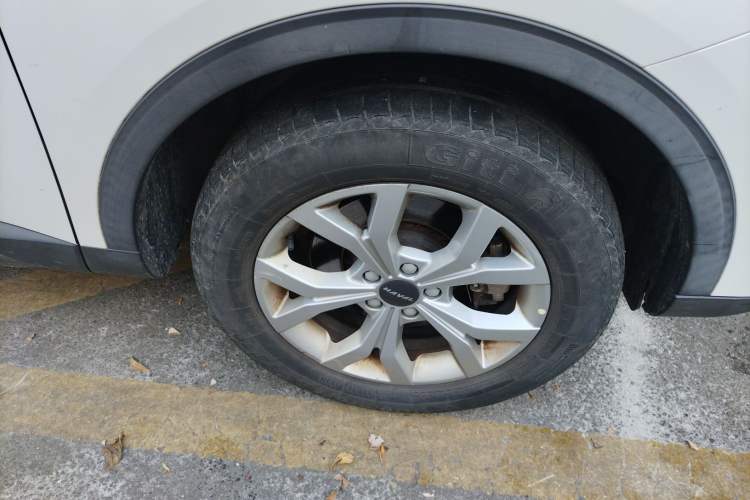 Used Haval H6 2019 1.5 GDIT Automatic Champion Edition China V Standard
