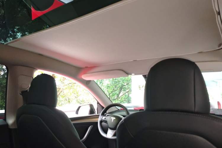 Used Tesla Model Y 2021 Standard Range Rear-Wheel Drive Version
