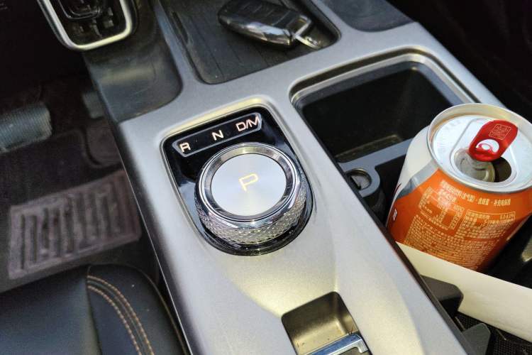 Used Haval DARGO 2024 2.0T DCT Chinese Rural Dog Edition
