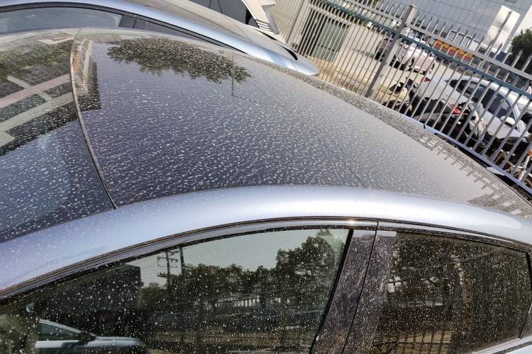 Used BYD Sealion 07 EV 2024 610 Zhihang Edition
