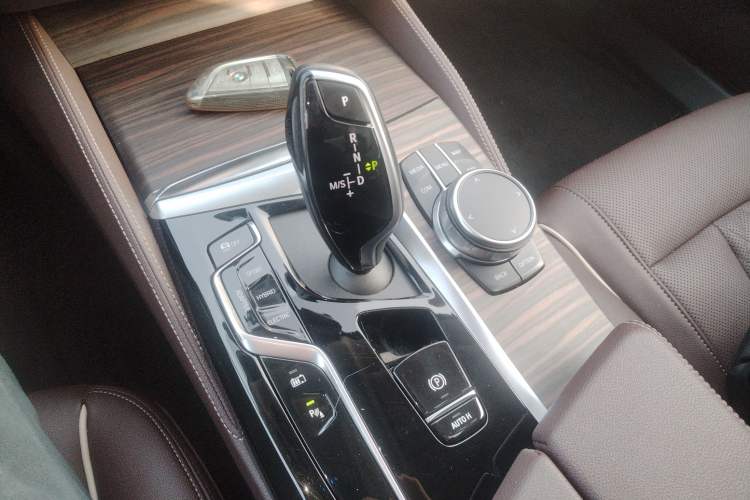 Used BMW 5 Series New Energy 2022 535Le Luxury Package
