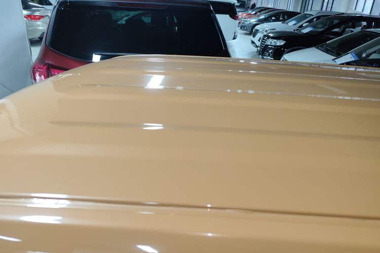 Used  Panda 2024 Panda Mini 200km Endurance Bear
