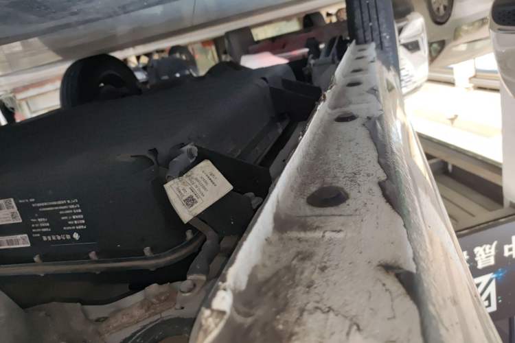 Used  Panda 2023 Panda Mini 200km Endurance Bear
