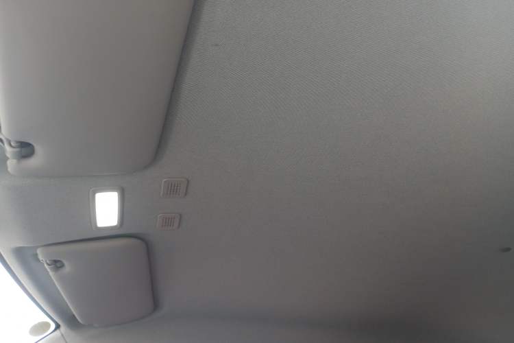 Used  Panda 2024 Panda Mini 200km Endurance Bear
