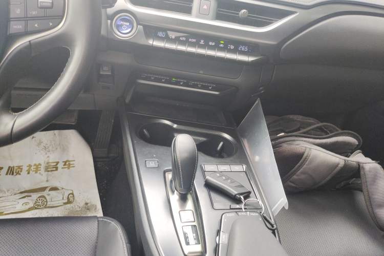 Used Lexus UX New Energy 2020 300e Pure·Joy Edition
