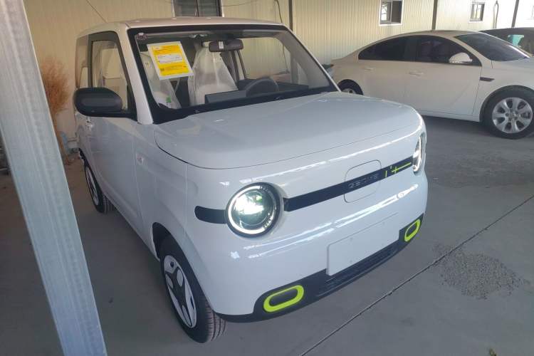 Used  Panda 2025 210 km – Yuanqi Bear
