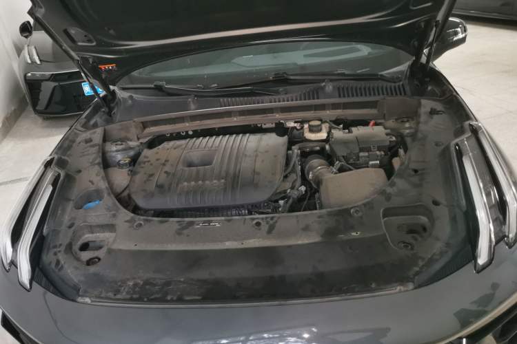 Used Lynk & Co 03 2023 2.0TD DCT H-Power Halo
