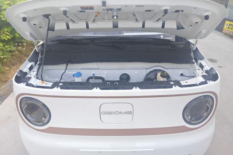 Used  Panda 2024 Panda Mini 200km Endurance Bear
