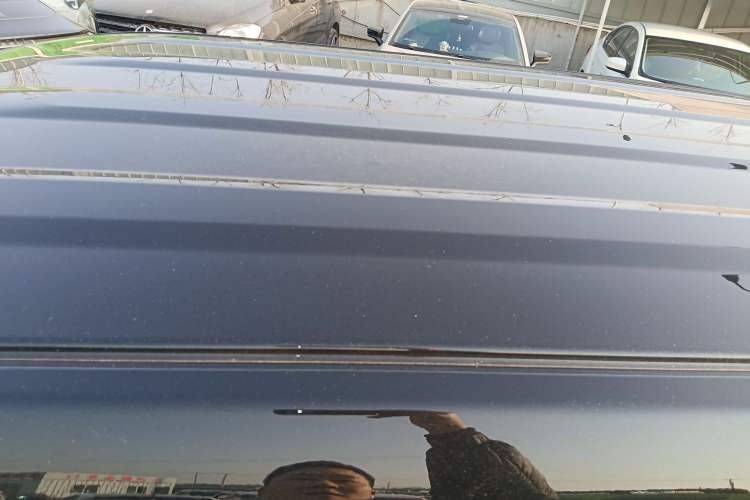 Used  Panda 2024 200km Panda Kart
